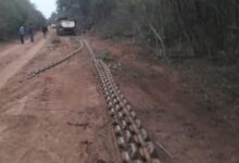 El Chaco salteño bajo la presión de los desmontes