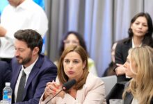 Una dirigente radical y actual funcionaria de Javier Milei disfrazó de cucarachas a todo el peronismo