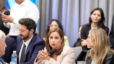 Una dirigente radical y actual funcionaria de Javier Milei disfrazó de cucarachas a todo el peronismo