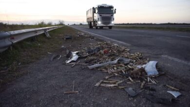 Un nuevo siniestro en la poma elevó a 100 las accidentes viales en Salta