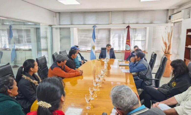 Salta apuesta por la carne de cabra y oveja