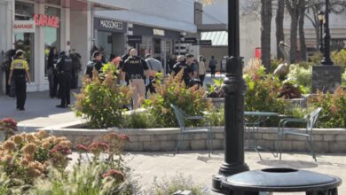 Un hombre intentó ahogar a una mujer en el estanque de un shopping y varias personas se lanzaron al agua para salvarla