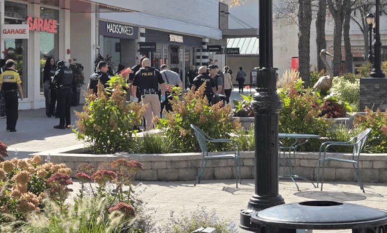 Un hombre intentó ahogar a una mujer en el estanque de un shopping y varias personas se lanzaron al agua para salvarla