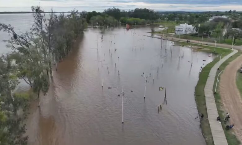 Alerta en el Litoral por la llegada de El Niño: hay más de 400 personas afectadas por las inundaciones