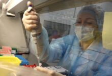 Alerta en Rusia: murió una investigadora y aislaron a 200 personas por un posible contagio de peste neumónica