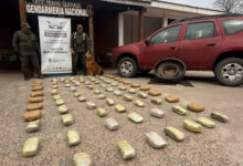 El olfato de Yasi, clave para hallar un cargamento de droga en la Ruta 16