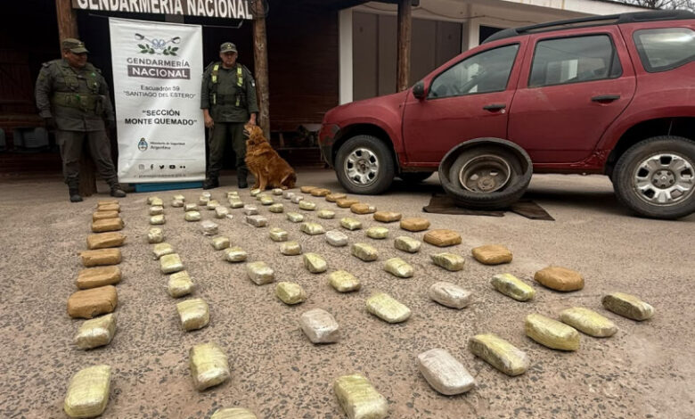 El olfato de Yasi, clave para hallar un cargamento de droga en la Ruta 16